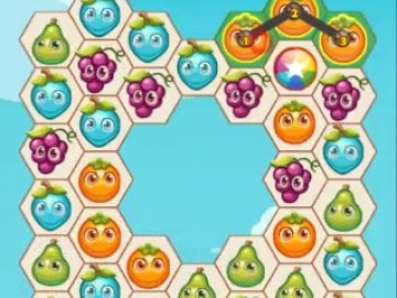 Fruita Swipe