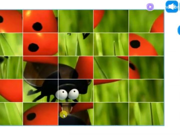 Ladybug Slide