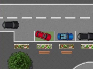 Parking Passion