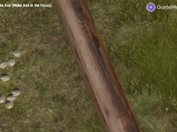 Surviving in the Woods